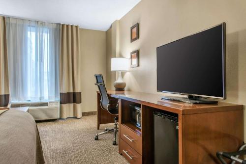 Comfort Inn MSP Airport - Mall of America - image 5