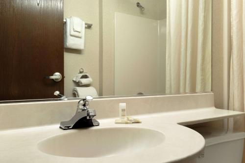 Microtel Inn & Suites by Wyndham Bloomington/Minneapolis - image 5