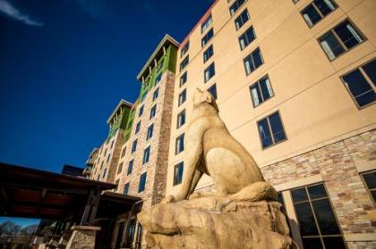 Great Wolf Lodge Bloomington - image 2