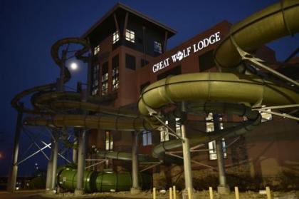 Great Wolf Lodge Bloomington - image 3