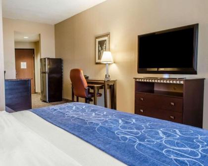 Comfort Suites Bloomsburg - image 12