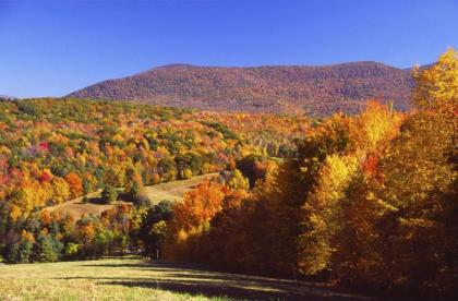 Meadowbrook Inn - image 8