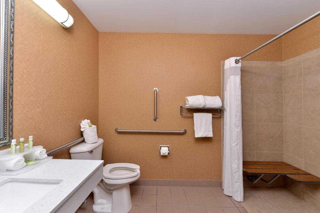 Holiday Inn Express Hotel & Suites Cincinnati-Blue Ash an IHG Hotel - image 3