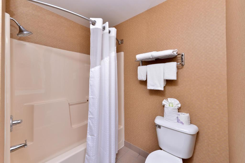 Holiday Inn Express Hotel & Suites Cincinnati-Blue Ash an IHG Hotel - image 4