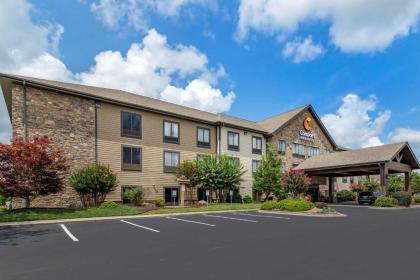 Comfort Inn & Suites Blue Ridge - image 12