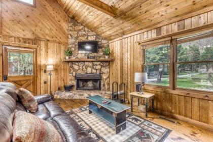 Toccoa River Retreat - image 1