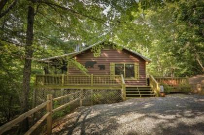 Holiday homes in Blue Ridge Georgia