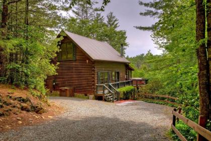 Apartment in Blue Ridge Georgia