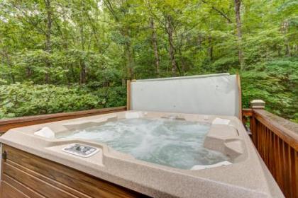 Lazy Bear Den   2 Bed 1 Bath Vacation home in Blue Ridge Georgia