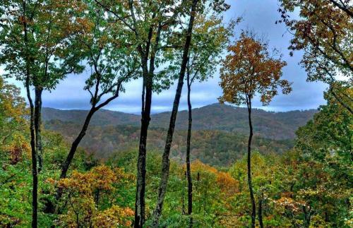 Treehouse Retreat by Escape to Blue Ridge - image 4