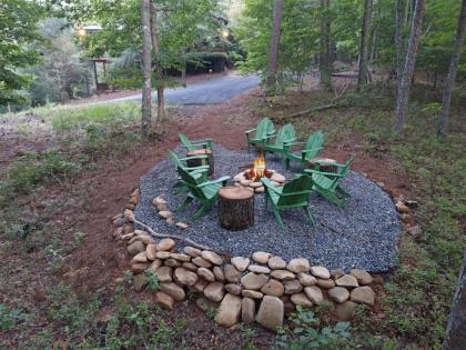 Bearly A Care At Aska- Blue Ridge - image 4