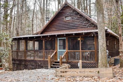 Little Creek Blue Ridge Georgia