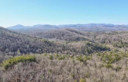 Blue Vista Breathtaking Mtn Views 3 Fireplaces Hot Tub Games 10 Min from DT Blue Ridge! - image 8