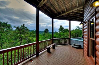 WILD THINGS enjoy the North Georgia Mountain View with this Wall of Windows!!!! - image 18