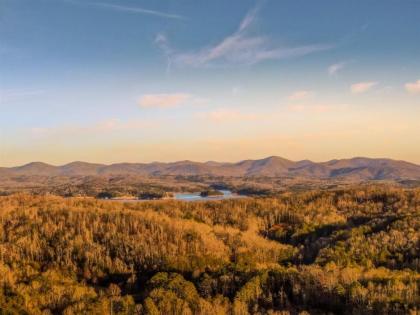 A Blue Ridge Mason Jar - image 7