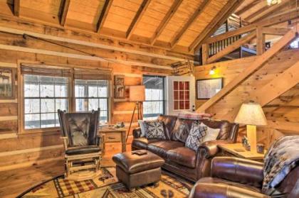 Charming Blue Ridge Cabin with Hot Tub and Grill! - image 3