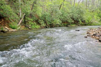 The Wandering Wilscot Lodge by Escape to Blue Ridge - image 12