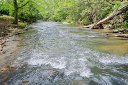 The Wandering Wilscot Lodge by Escape to Blue Ridge - image 6