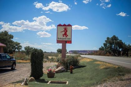 Kokopelli Inn - image 5