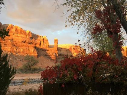 Canyon Wren Bed and Breakfast - image 12