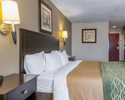 Comfort Inn Bluffton - image 3