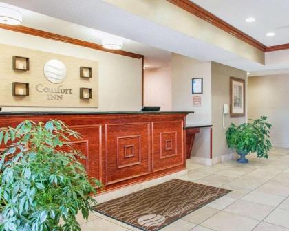 Comfort Inn Bluffton - image 9