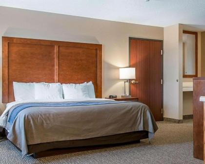 Comfort Inn Bluffton - image 9