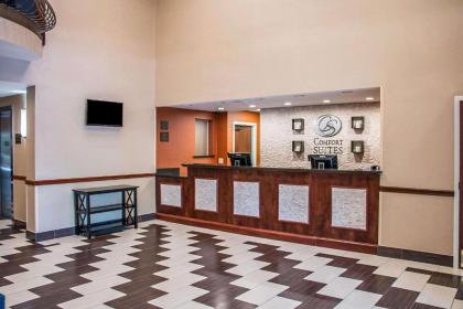 Comfort Suites Bluffton-Hilton Head Island - image 12