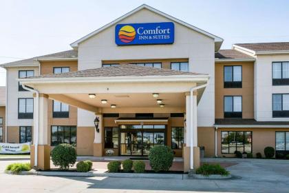 Comfort Inn & Suites Blytheville - image 13