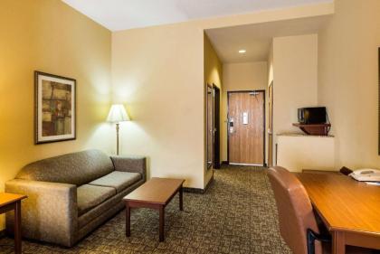 Comfort Inn & Suites Blytheville - image 9