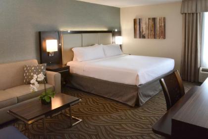 Holiday Inn Youngstown-South - Boardman an IHG Hotel - image 10