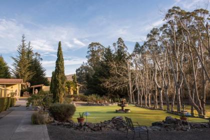 Sonoma Coast Villa - image 3