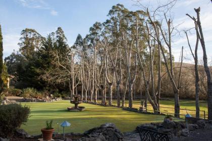 Sonoma Coast Villa - image 7