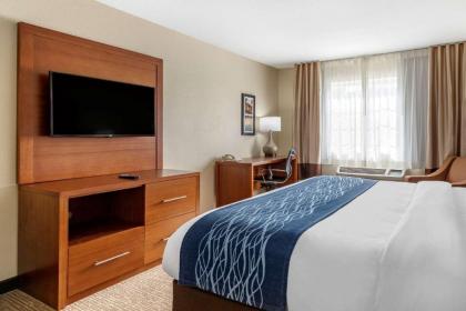 Comfort Inn & Suites Texas Hill Country - image 12