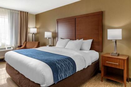 Comfort Inn & Suites Texas Hill Country - image 9