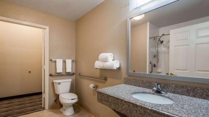 Best Western Boerne Inn & Suites - image 13