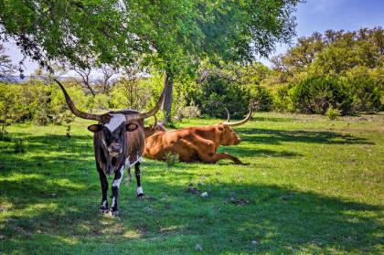 Beautiful Boerne Casita - 13 Mi to Downtown! - image 10