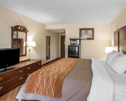 Comfort Inn & Suites at I-85 - image 9