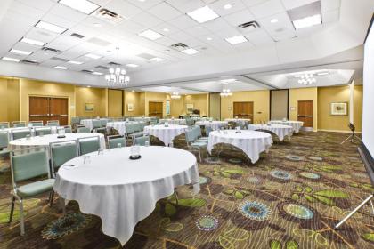 Holiday Inn Hotel & Suites Bolingbrook an IHG Hotel - image 10