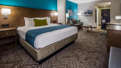 Best Western Plus Bolivar Hotel & Suites - image 15