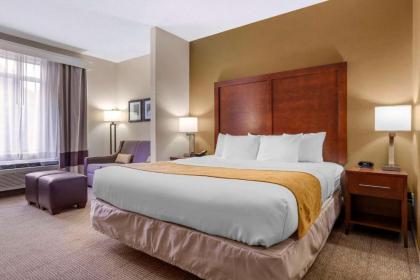 Comfort Suites Boone - University Area - image 10