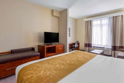 Comfort Suites Boone - University Area - image 15