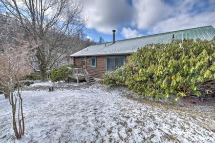 Boone Cabin on Private Lot Less Than 13 Mi to Sugar Mtn! - image 3