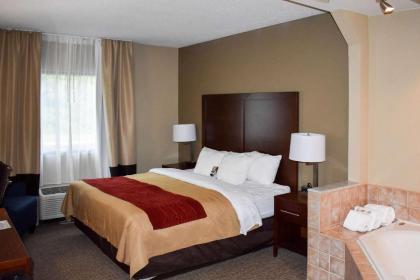 Comfort Inn Bordentown near NJ Turnpike - image 10