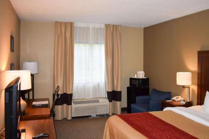 Comfort Inn Bordentown near NJ Turnpike - image 13