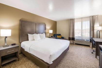 Comfort Inn - image 10