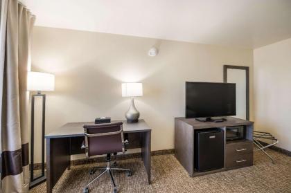 Comfort Inn - image 13