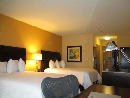 Hilton Garden Inn Shreveport Bossier City - image 7