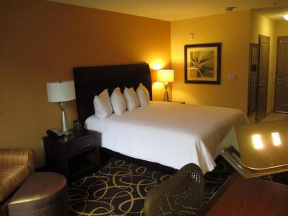 Hilton Garden Inn Shreveport Bossier City - image 8