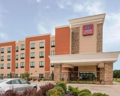 Comfort Suites Bossier City - image 12